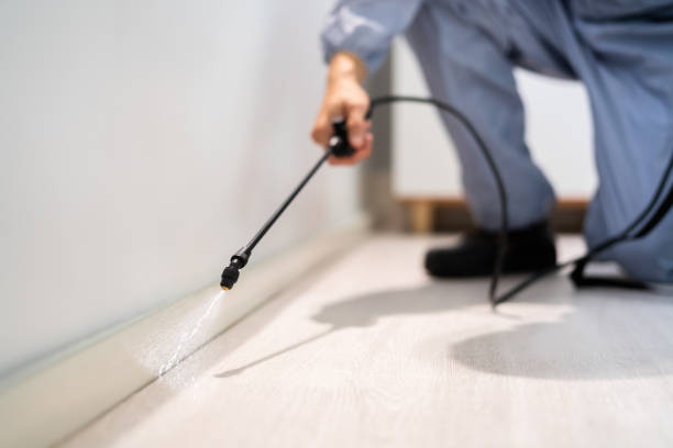 Licensed Pest Control service in West Springfield, VA - Show Me Pest Control